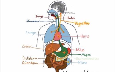 Wingwave ® – Selbst-Coaching-Tipp