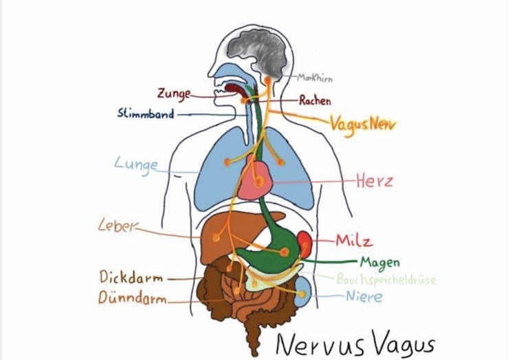 wingwave-selbst-coaching-tipp